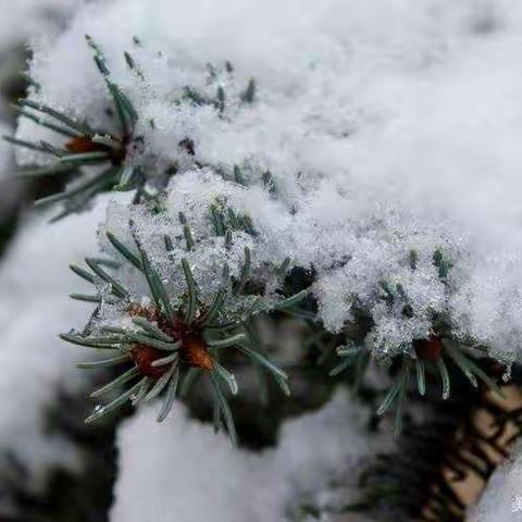 雪花纷飞扮校园，扫雪除冰暖人心——杜康镇小学中心校石狮小学除雪纪实