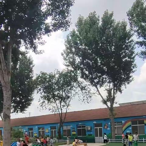 以爱育爱，静待花开，树仁幼儿园大一班金桔班一周精彩回顾