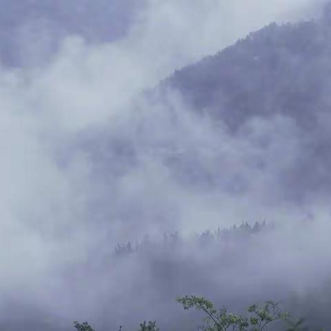 一山一水一云烟，一季深秋美如仙，一组伏羲山下马湾村的秋景！