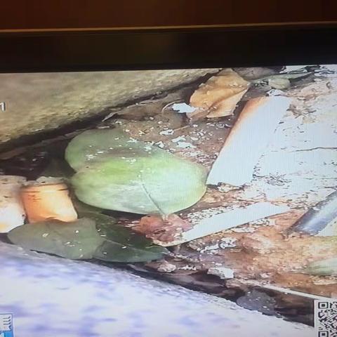 11月24日聚焦主题:星级酒店需拿出星级管理   捡起小烟头树立大品牌