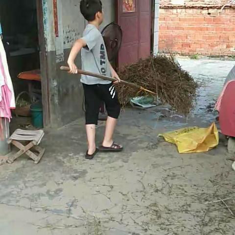 周湾小学暑假实践活动-----家务劳动篇（五年级）