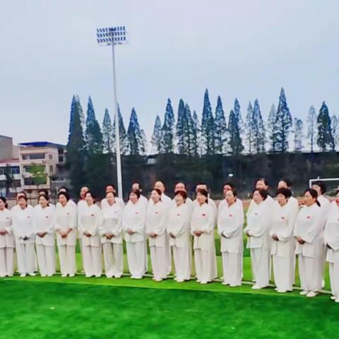 柴桑区太极拳协会在区体育馆举办“庆国庆”太极拳展演活动