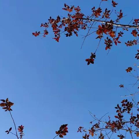 感谢身体