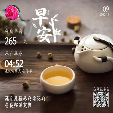 视频嗨玩群100天总结