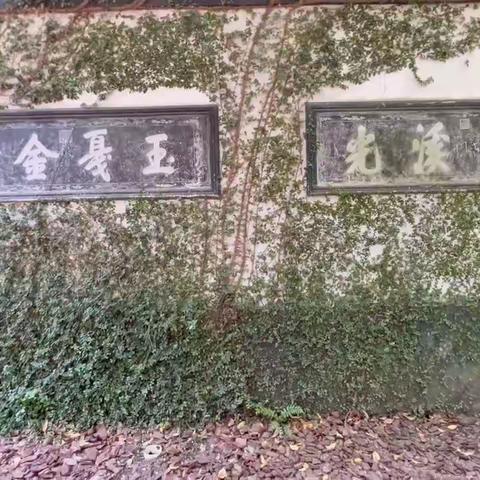 寄畅园中听自然人生