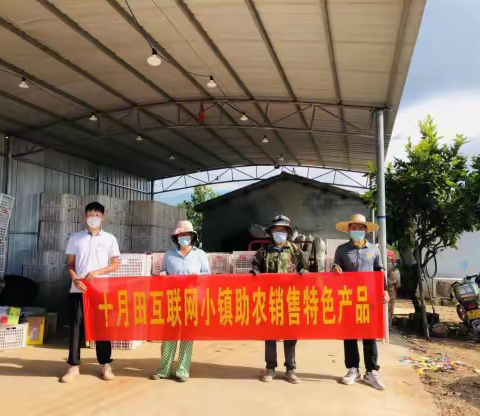 十月田镇：互联网小镇助力受疫情影响滞销农产品打通销路