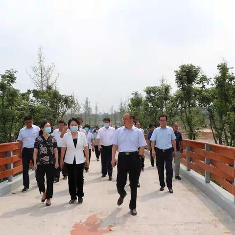 安阳市政协常委莅临殷都区开展2020年度上半年集体视察