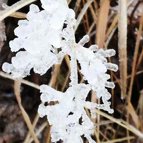 法界冰雪