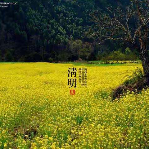 清明节“沐春踏青，关爱自然”活动油田四小知与行社团