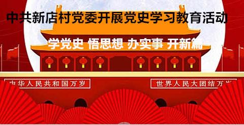 中共新店村党委开展党史学习教育 学党史 悟思想 办实事 开新篇