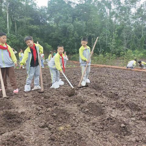 以劳养德，以劳育美——蔡金小学劳动实践基地开园仪式