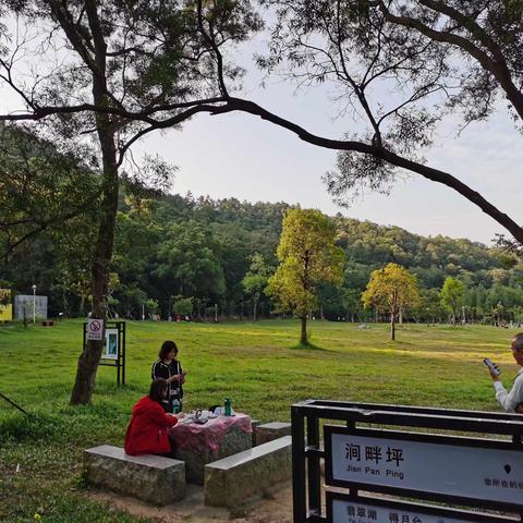 向日葵🌻班2020年秋游