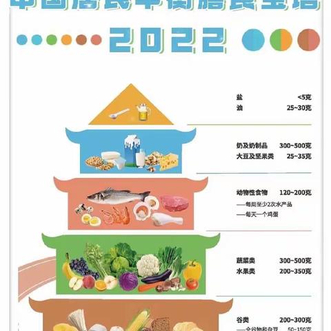 中国居民膳食指南：一日三餐摄入宣传—乐宝贝幼儿园