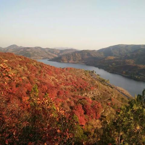 红叶满山遍野