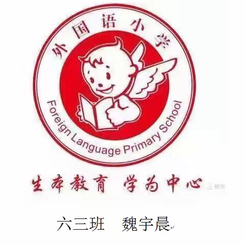 "书香与梦想齐飞，阅读与人生相伴" 一一外国语小学  六三班 魏宇晨