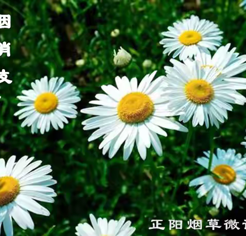 卷烟的销售技巧