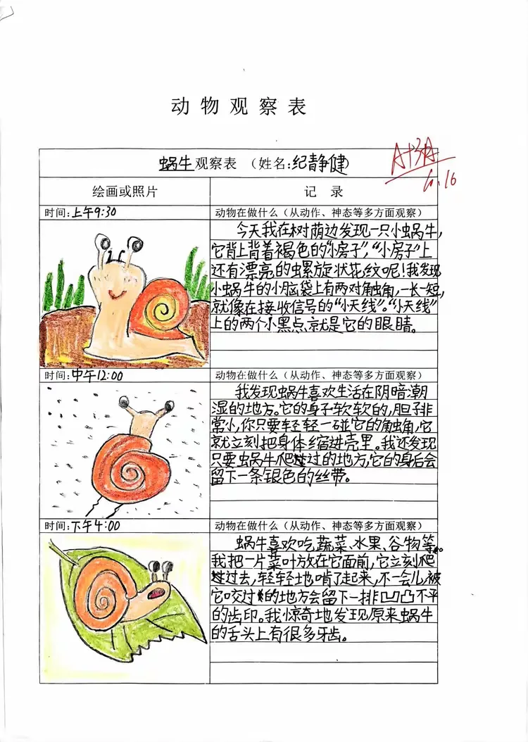 动物观察记录优秀作品展示海口市滨海第九小学西海岸校区四5班