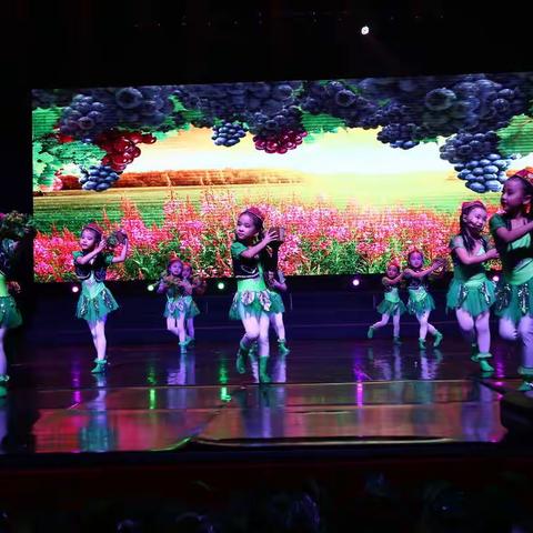 2020年石河子工人文化宫·华艺舞蹈学校迎新年暨教学汇报演出集锦10