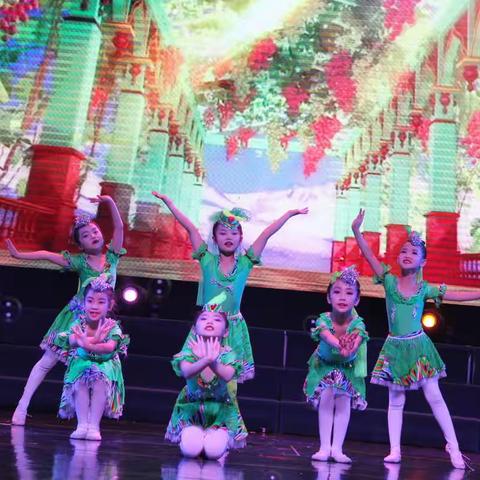 2020年石河子工人文化宫·华艺舞蹈学校迎新年暨教学汇报演出精装版-第九集