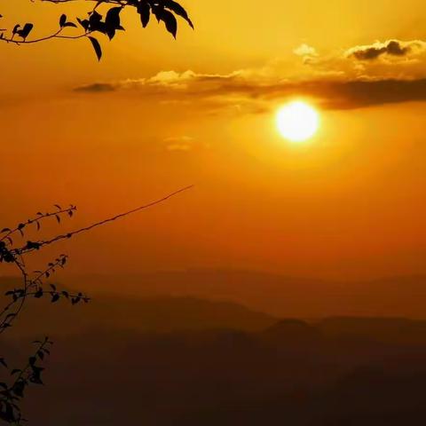 旋子日记  （2021年，国庆）