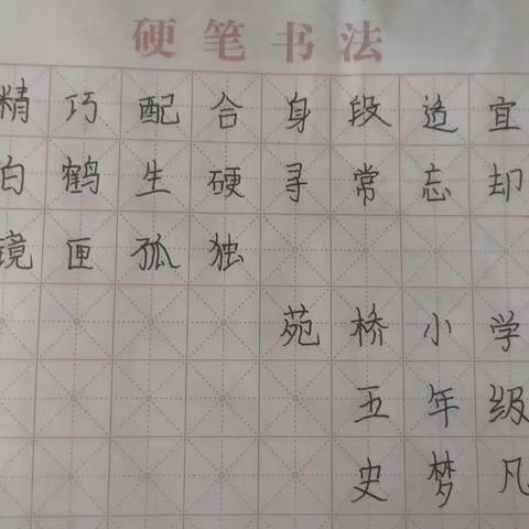 清苑区何桥乡苑桥小学三项考核汇报