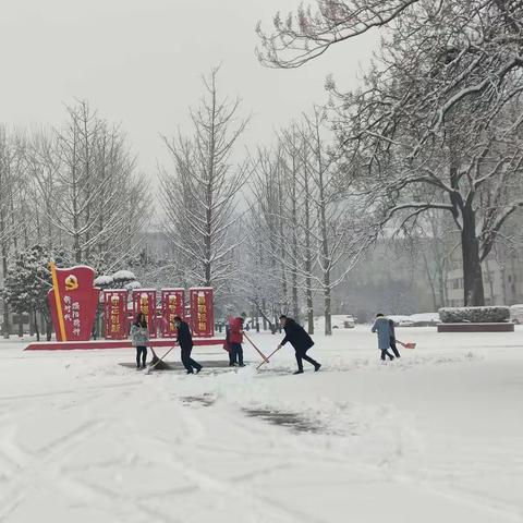 以雪为令迅速行动全员上阵清雪除冰——市机关事务管理局清雪除冰确保办公区道路畅通