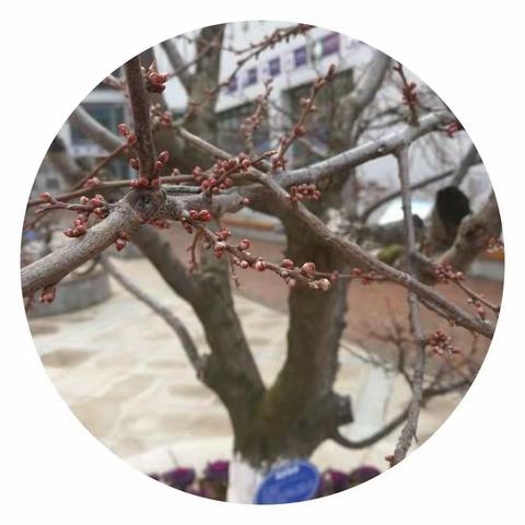 幸福是奋斗出来的！——参加2018年全国中考英语改革暨中考英语总复习教学研讨会简讯