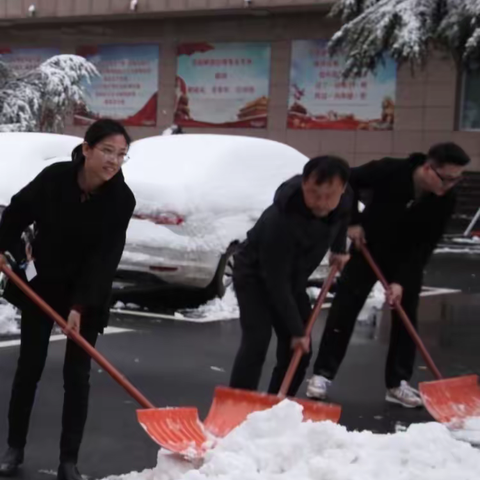 长清农行扫雪除冰保畅通 奋战严寒暖人心