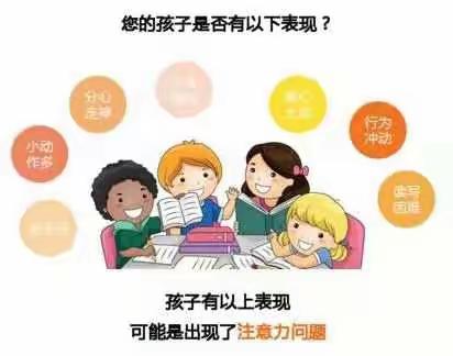 天才，首先是注意力