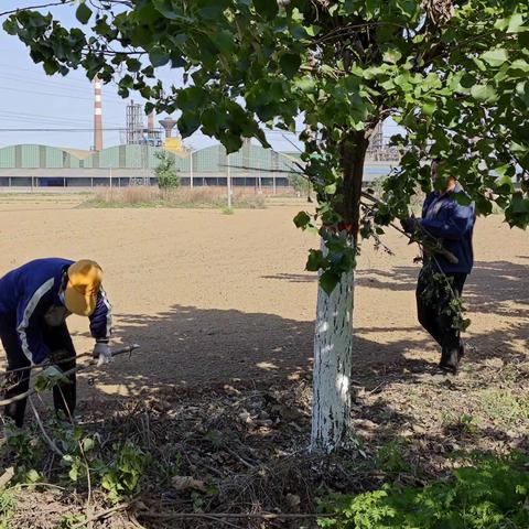 中营井村一周工作小结