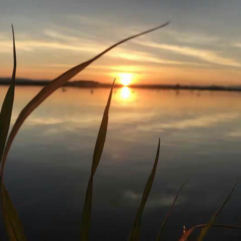 一个大家族浓浓的年味(一)