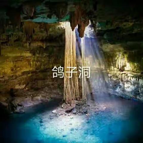 '新年新景新气象