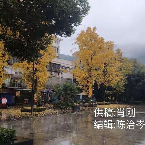 澄阳三班12周周报