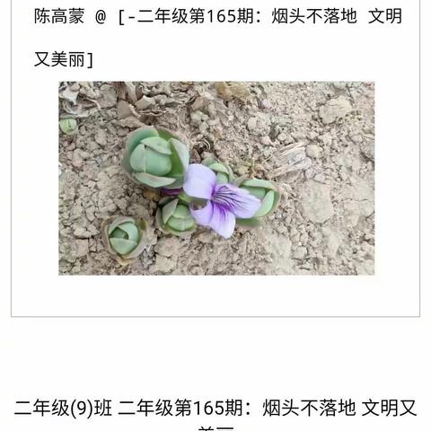 城内小学二九中队二三月份社会实践活动汇总
