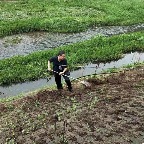 朱兰街道全力以赴冲刺创卫复审