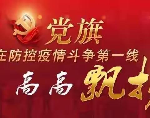为党旗添彩，为复课奋战——延津县胜利路小学党员志愿者为全体师生核酸检测保驾护航