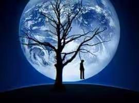 不上班，一年收入25w，小而美的副业项目