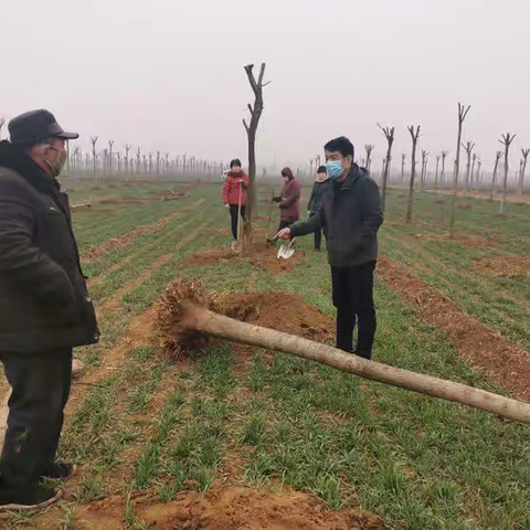 疫情防控不放松，国土绿化强推进