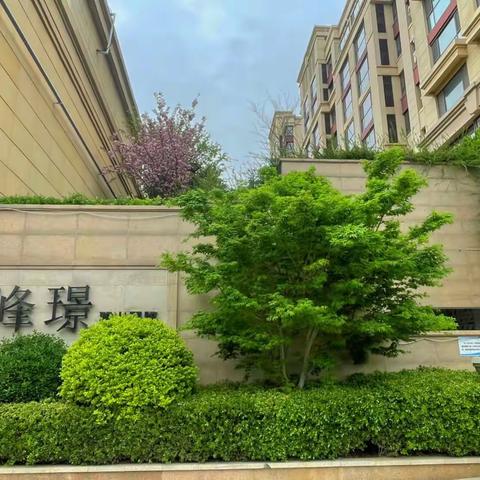 青岛青建博海物业麗山国际峰璟物业服务中心2023年一季度工作成果汇报