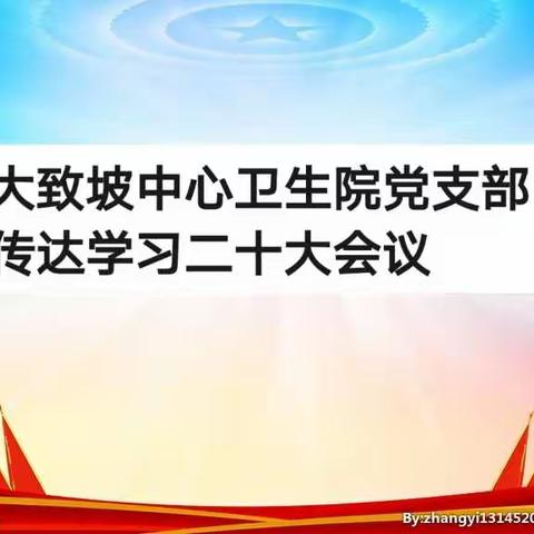 大致坡中心卫生院党支部传达学习党的二十大报告精神