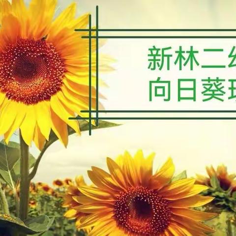 向日葵班🌻节约用水篇