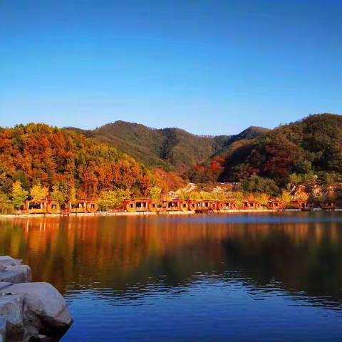 “商务老同志艺抗疫情  喜迎党的二十大胜利召开”网上系列文体活动之四：健身视频与摄影作品展示