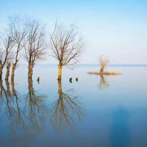 苍苍蒹葭守日月 漫漫湖水向天边 ——高邮湖随拍