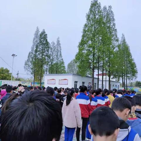 潘新镇徐寨小学“书香校园”交流会