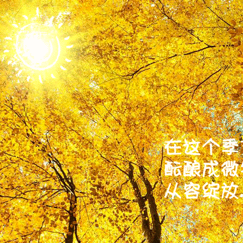 名师专家引领、助推教研发展――记怀铁一小2020秋季开学教师教育教研能力培训活动