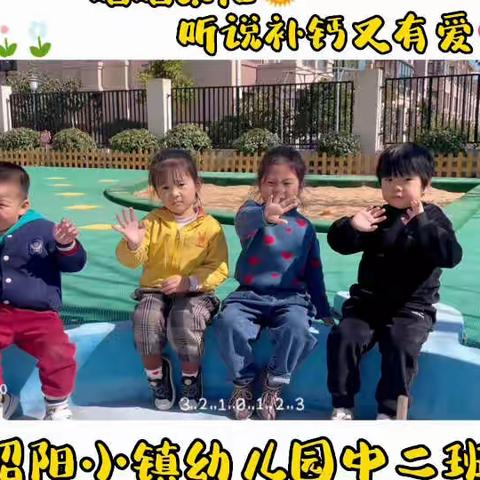 昭阳小镇幼儿园——中二班精彩回顾