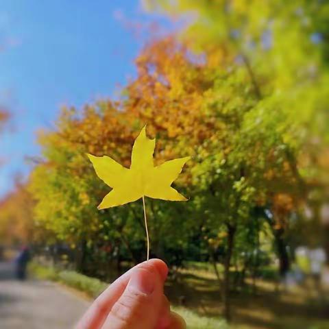 今秋风景这边独好——记北派名师英语研修活动