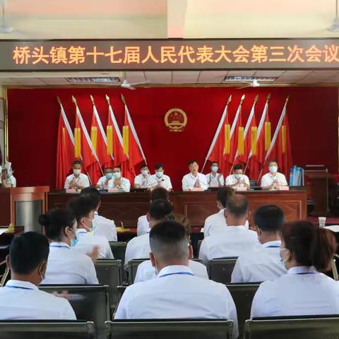 澄迈县桥头镇第十七届人民代表大会第三次会议顺利召开
