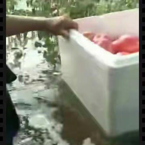 剪艺...造型的美篇