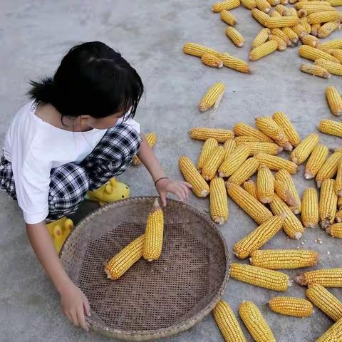 快乐暑假，“暑”我最棒——猫儿坪小学四年级暑假作业展